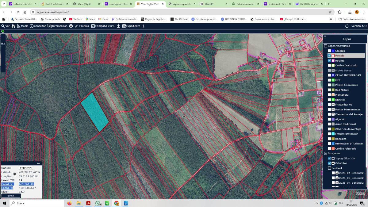 imagen 1 de Véndese monte en Cedofeita (Ribadeo) – 32.096 m²