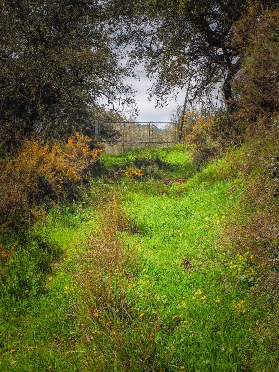 imagen 1 de Parcela Rústica