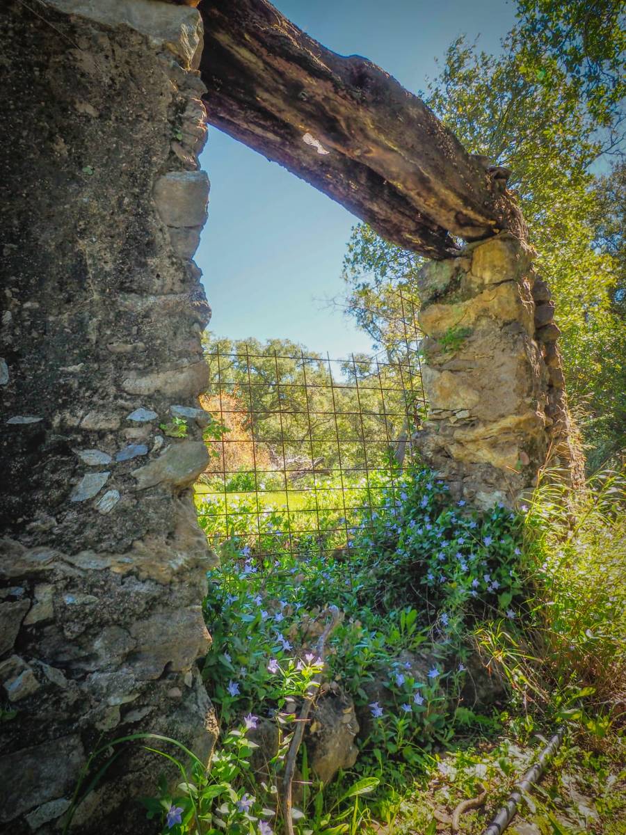 imagen 1 de Parcela rústica