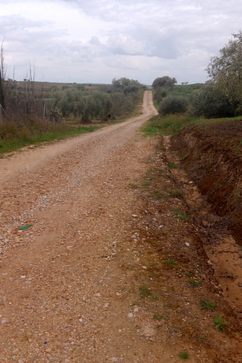 imagen 1 de Terreno rústico con escritura pública y pozo.