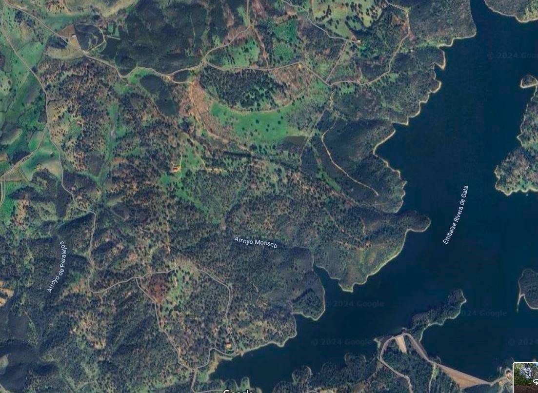 imagen 1 de Dehesa en la provincia de Cáceres de 150 hectáreas