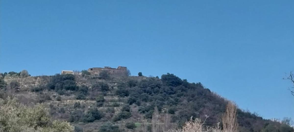 imagen 1 de FINCA DE 100 HECT EN VENTA CON CASA Y EDIFICIOS AGRICOLAS