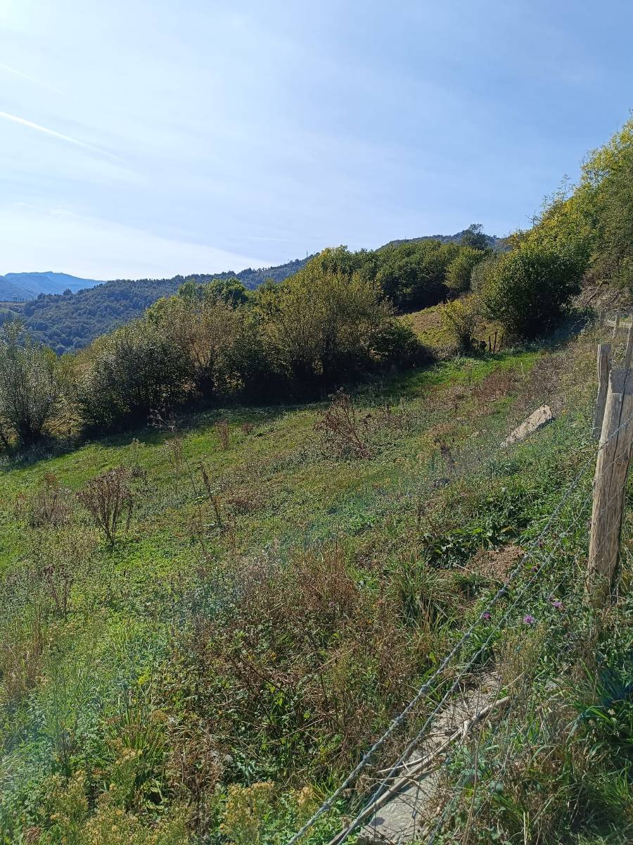 imagen 1 de Terreno en venta en POLIGONO 41 s/n, Lena
