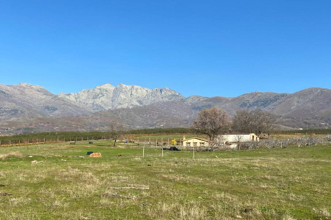 imagen 6 de Finca Rústica De 4 Hectáreas Cerca De Candeleda Con Gran Potencial.