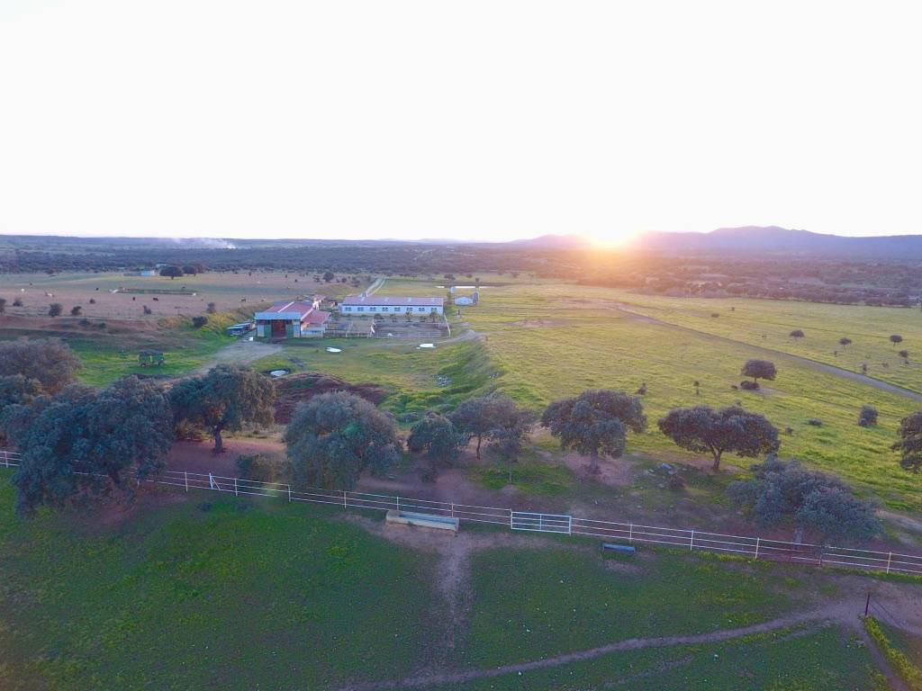imagen 1 de Preciosa Finca Para Caballos Totalmente Equipada