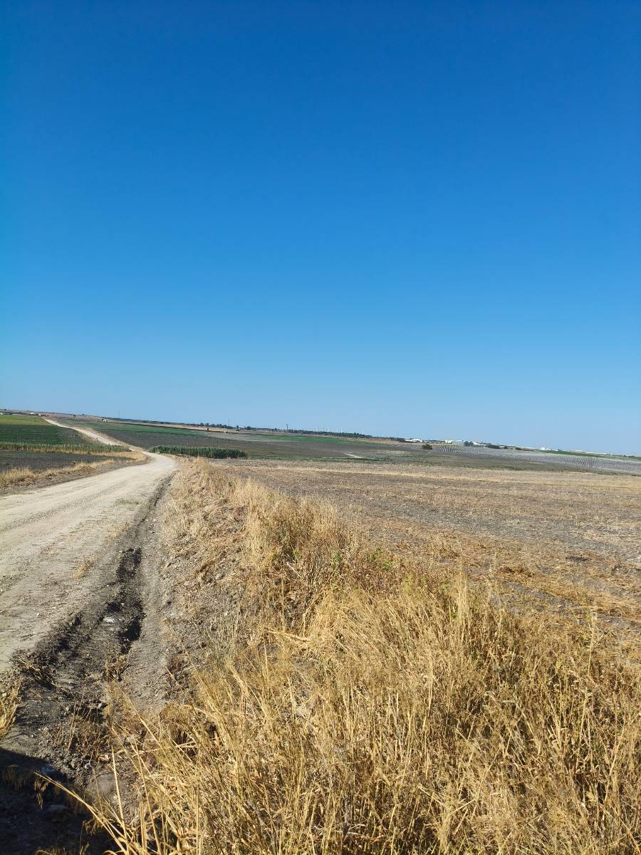 imagen 1 de Se vende Parcela agraria de 14ha