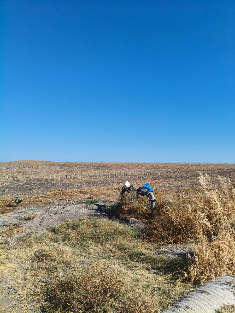 imagen 1 de Se vende Parcela agraria de 14ha