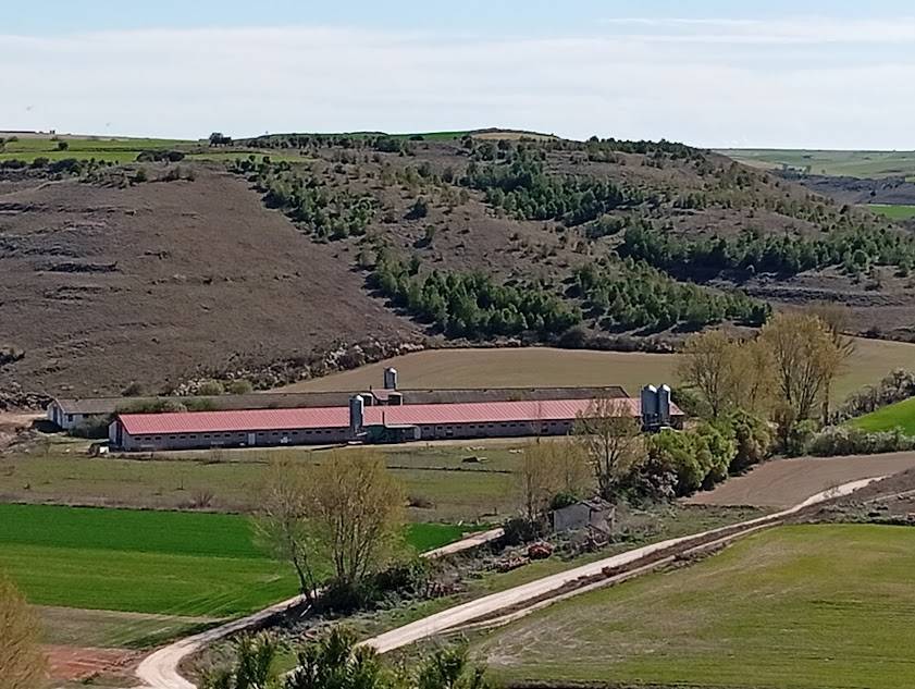 imagen 1 de Explotación Avícola de 1.500 m² en Pleno Funcionamiento