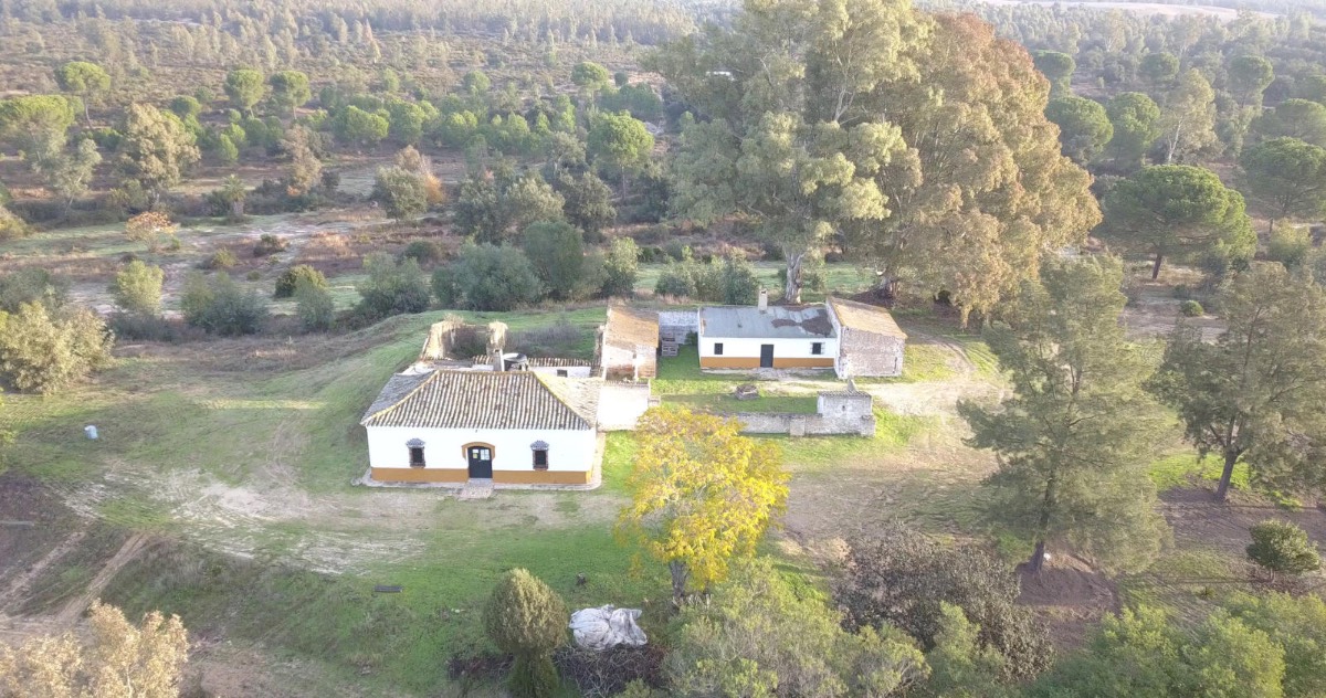 imagen 1 de Finca privada de 159 ha junto a Doñana -Almonte