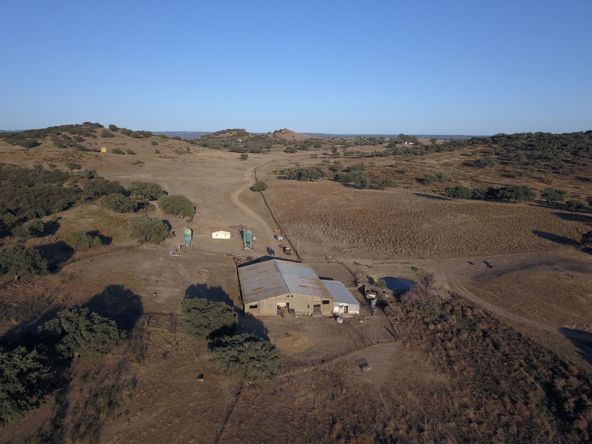 imagen 1 de Finca Rústica de 80 hectáreas en el Andévalo de Huelva