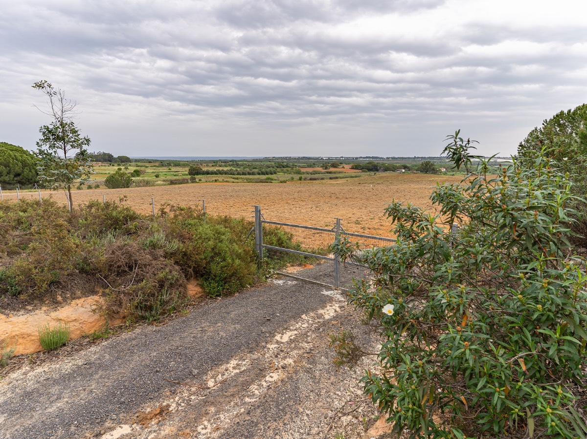 imagen 1 de Finca rústica 5,5 ha en Niebla, Huelva