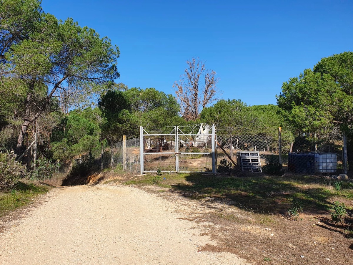 imagen 1 de Finca en Moguer
