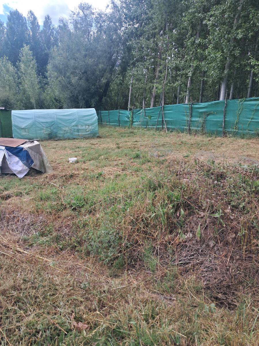 imagen 1 de FINCA
