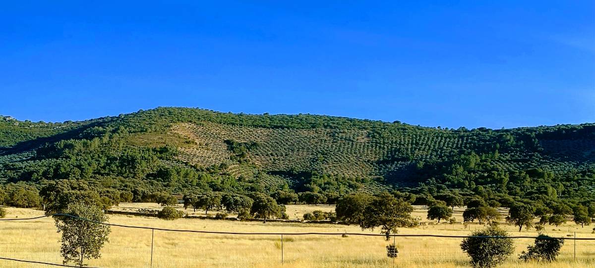 imagen 1 de Terreno de sierra en la Reserva de la Biosfera de La Siberia extremeña.