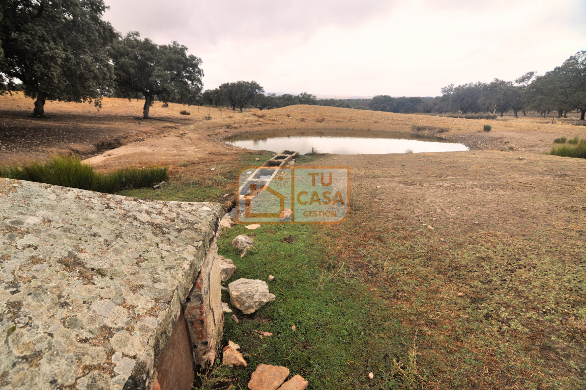 imagen 1 de Venta de magnífica finca rústica de 180 hectáreas en Deleitosa, (Cáceres).