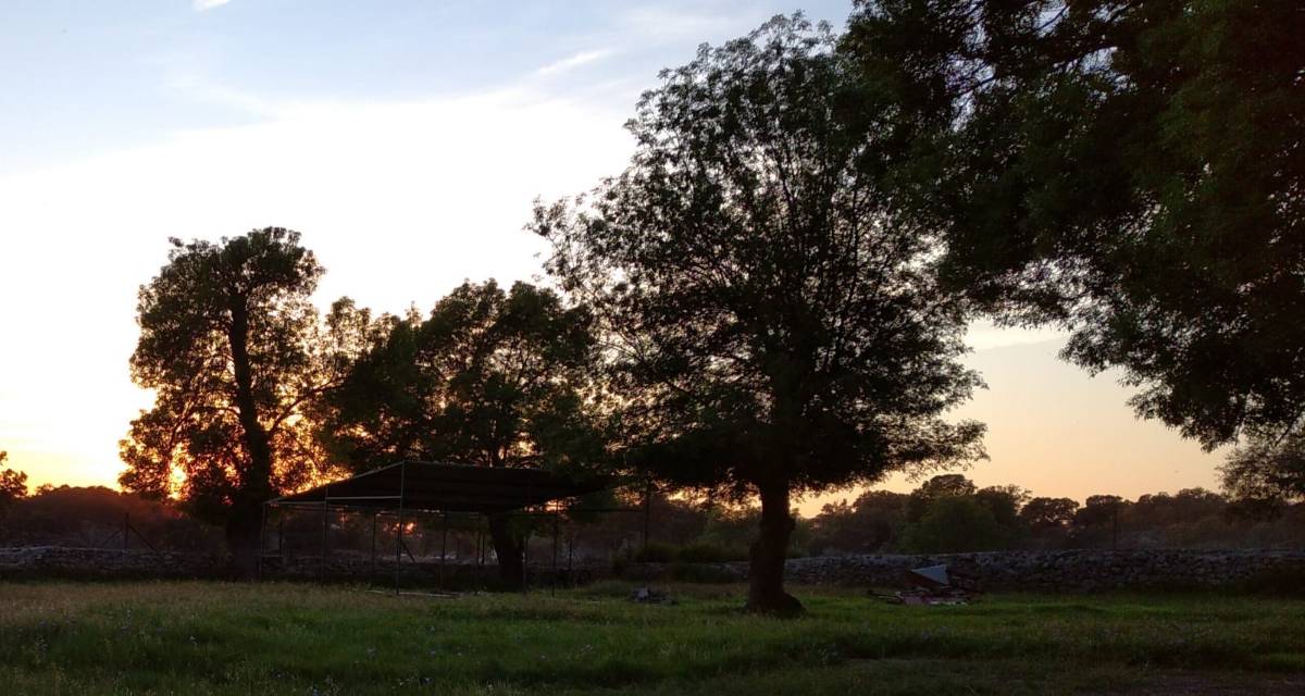 imagen 1 de VENTA DE TERRENO EN SIERRA DE MONTÁNCHEZ