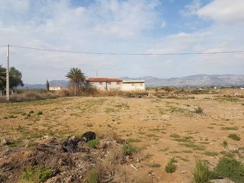 imagen 1 de Finca en Torrevieja