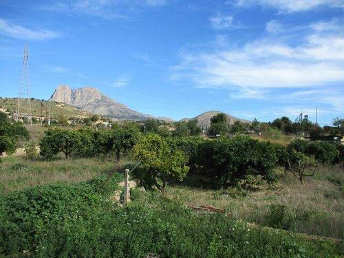 imagen 1 de Venta de finca en La Villajoyosa/vila Joiosa