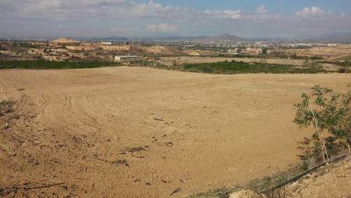 imagen 5 de Venta de finca en Orihuela