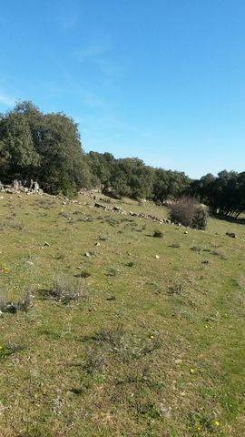 imagen 4 de Terreno Guadalix de la Sierra Madrid