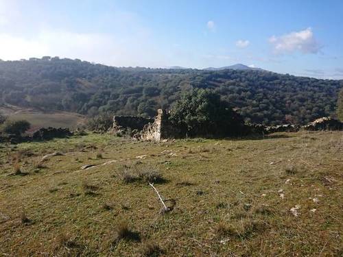imagen 7 de Terreno Guadalix de la Sierra M627 Venturada