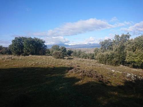 imagen 10 de Terreno Guadalix de la Sierra M627 Venturada