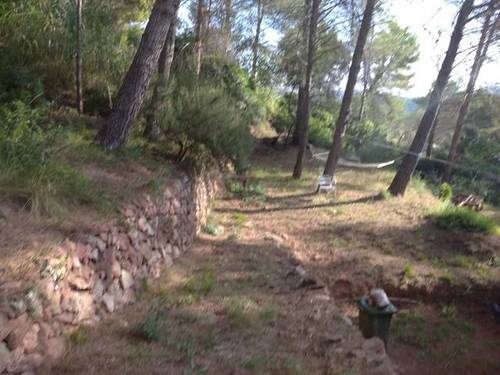 imagen 9 de Terreno en Pallejà, Barcelona Baix Llobr