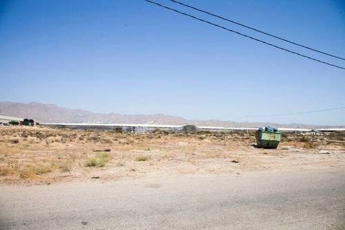 imagen 7 de Venta invernadero en San Isidro de Níjar