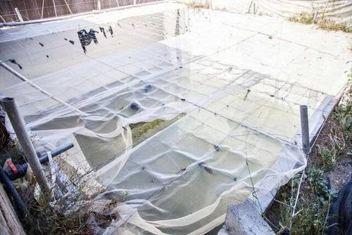 imagen 6 de Invernadero en Santa María del Águila