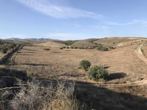 imagen 3 de Terreno para invernadero Sorbas/Lubrin KM4, Almeria