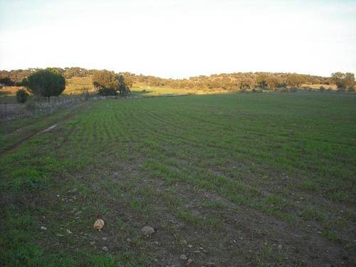 imagen 1 de Venta de finca agrícola en Campillo De Llerena. (Badajoz)