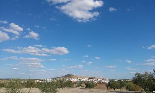 imagen 3 de Venta de parcela agrícola en Fuente Del Maestre (Badajoz)