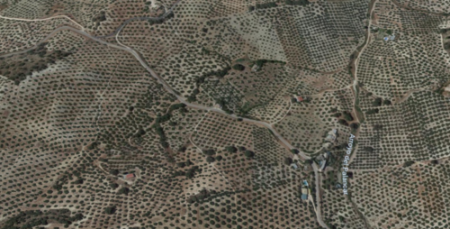 imagen 1 de Venta terrenos olivar Priego de Córdoba (fincas de bancos)