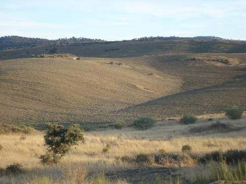 imagen 1 de Venta de parcela agrícola y ganadera en Montemolin (Badajoz)