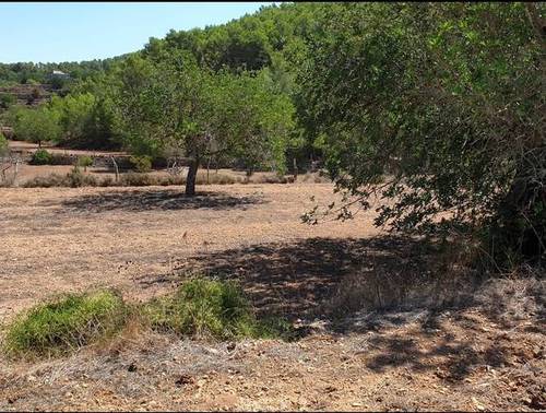 imagen 1 de Venta de gran terreno en San José (Ibiza)