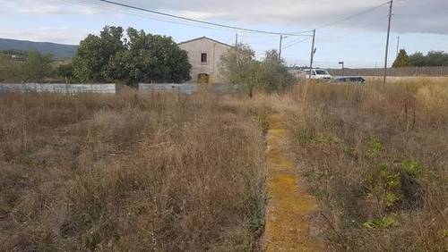 imagen 1 de Venta de bonita finca olivar y cultivo en Sant Martí Sarroca (Barcelona)