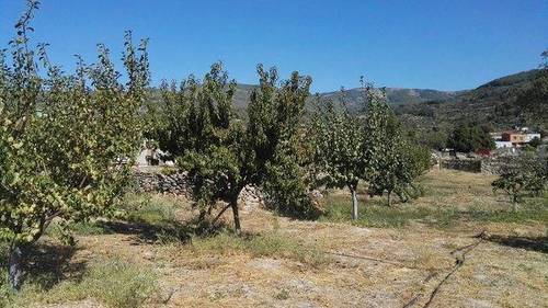imagen 1 de Venta de  finca de frutales Arroyomolinos de la Vera (Cáceres)