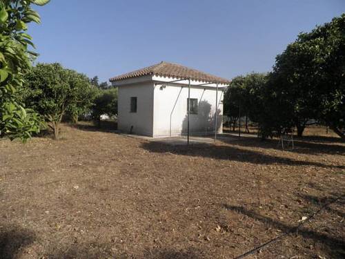 imagen 1 de Venta de parcela de naranjos en Chiclana de la Frontera (Cádiz)