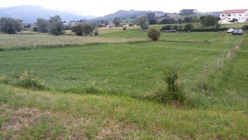 imagen 1 de Venta de terreno en Penagos (Cantabria)