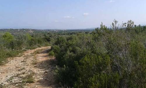 imagen 1 de Venta de estupendo terreno en Càlig (Castellón)