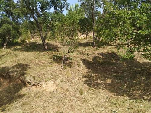 imagen 1 de Venta de terreno en Maçanet/Massanet de La Selva (Gerona)
