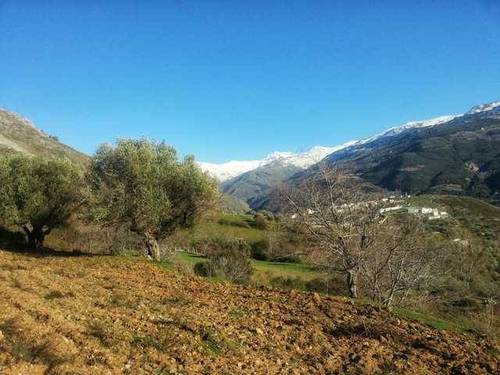 imagen 1 de Venta de estupenda finca en Güejar Sierra (Granada)