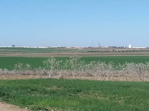 imagen 1 de Venta de terreno en Trigueros (Huelva)