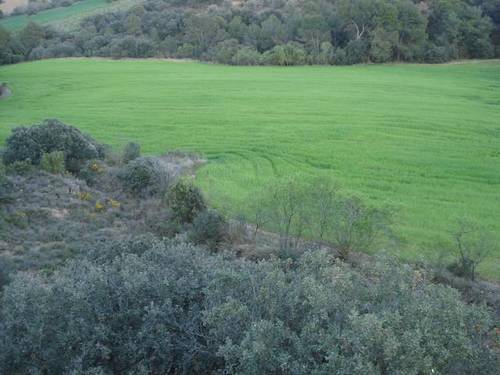 imagen 2 de Venta de finca en Barbastro (Huesca)