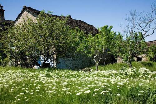 imagen 1 de Venta de finca en el valle de Bruello, Aínsa (Huesca)