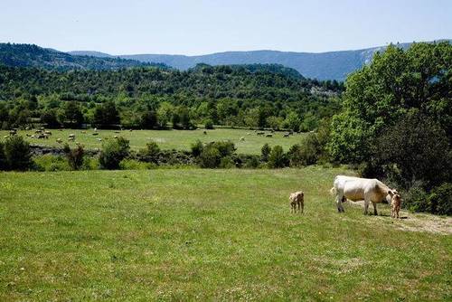 imagen 1 de Venta de finca en el valle de Bruello, Aínsa (Huesca)