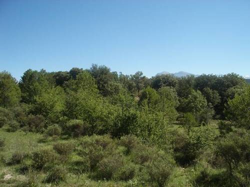 imagen 3 de Venta de finca en el valle de Bruello, Aínsa (Huesca)