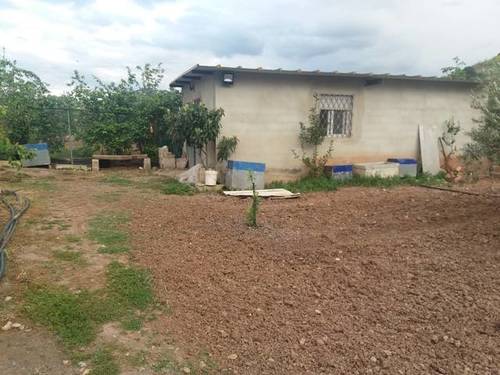 imagen 1 de Venta de huerta y olivar en Alcaudete (Jaén)