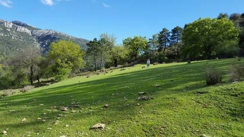 imagen 1 de Venta de preciosa finca en Arroyo Frio, Sierra Cazorla. (Jaén)