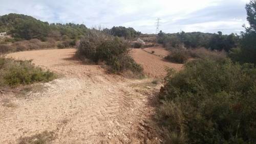 imagen 1 de Venta de terreno en Tarrés (Lérida)